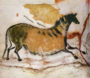 Lascaux Cavallo